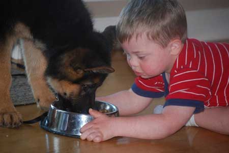 German Shepherd Dogs with Children