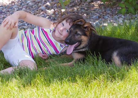 German Shepherd Dogs with Children