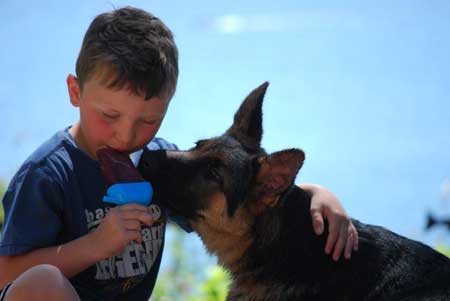 German Shepherd Dogs with Children