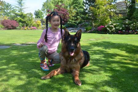 German Shepherd Dogs with Children