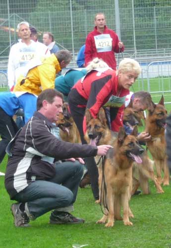 German Shepherd Dogs Accomplishments