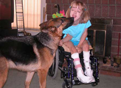 Service, Protection, Therapy, & Assistance Dogs
